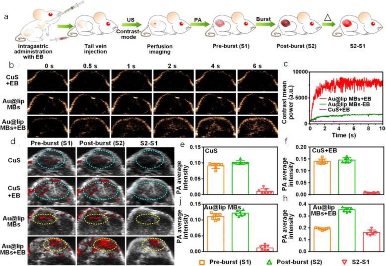 Recent advances in applications of multimodal ultrasound-guided photoacoustic imaging technology.