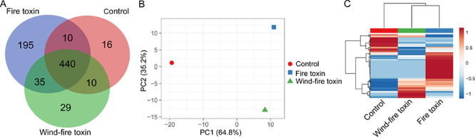 Oxidative stress and antioxidant defense in detoxification systems of snake venom-induced toxicity.