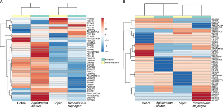 Oxidative stress and antioxidant defense in detoxification systems of snake venom-induced toxicity.