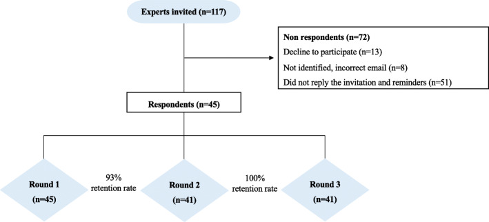 Common musculoskeletal impairments in postpartum runners: an international Delphi study.