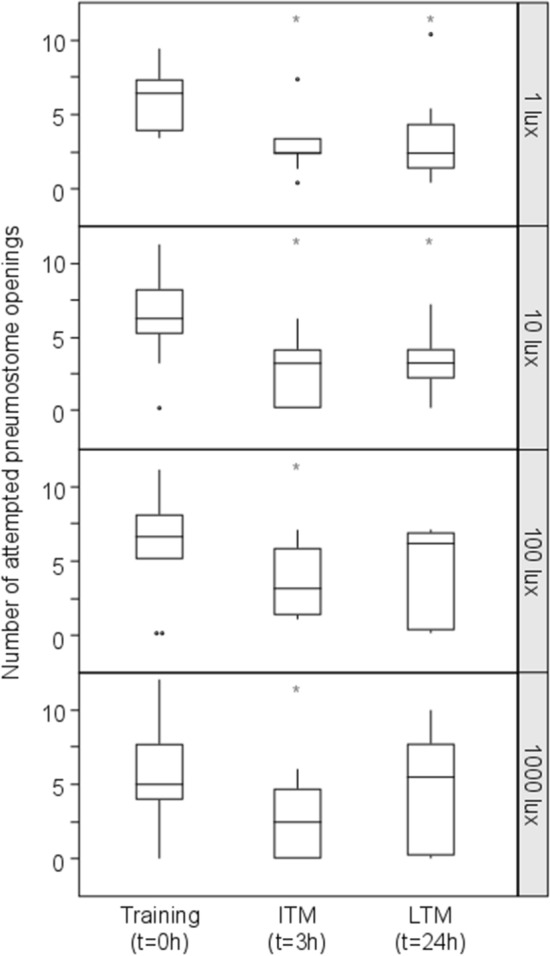 Effect of photoperiod and light intensity on learning ability and memory formation of the pond snail Lymnaea stagnalis.