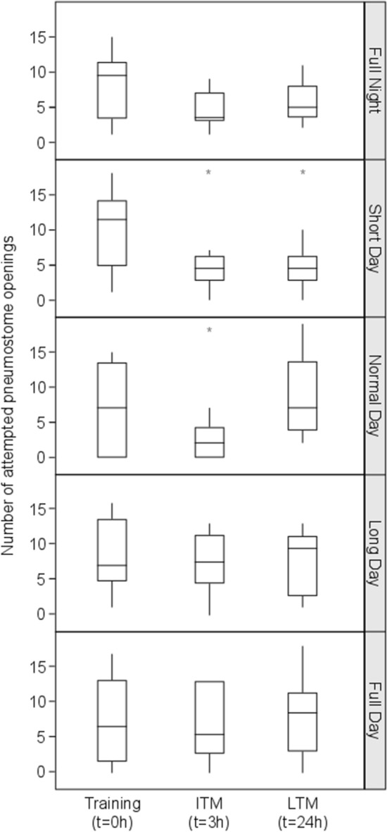 Effect of photoperiod and light intensity on learning ability and memory formation of the pond snail Lymnaea stagnalis.