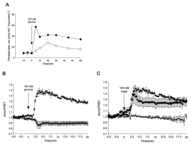 Nutrient sensing and cAMP signaling in yeast: G-protein coupled receptor versus transceptor activation of PKA.