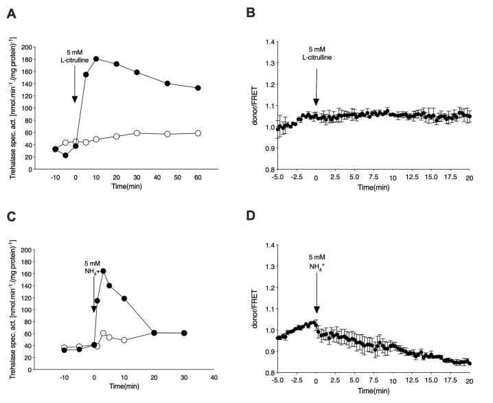 Nutrient sensing and cAMP signaling in yeast: G-protein coupled receptor versus transceptor activation of PKA.