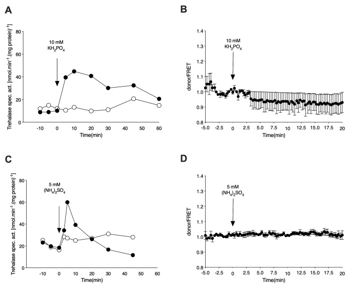 Nutrient sensing and cAMP signaling in yeast: G-protein coupled receptor versus transceptor activation of PKA.