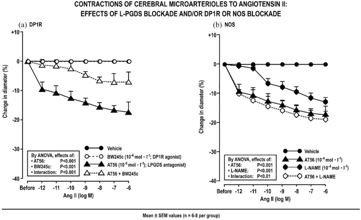 Endothelial prostaglandin D<sub>2</sub> opposes angiotensin II contractions in mouse isolated perfused intracerebral microarterioles.