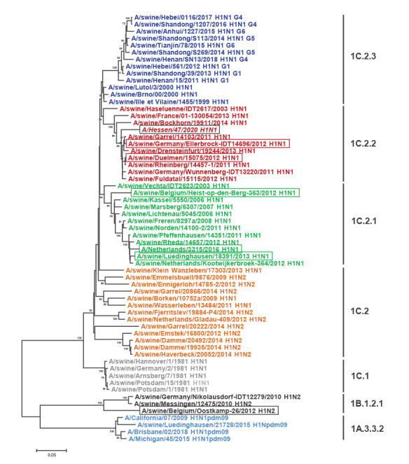 Zoonotic infection with swine A/H1<sub>av</sub>N1 influenza virus in a child, Germany, June 2020.
