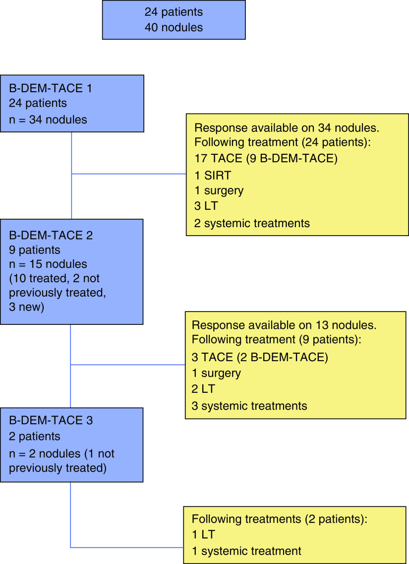 Balloon-occluded chemoembolization for hepatocellular carcinoma: a prospective study of safety, feasibility and outcomes.