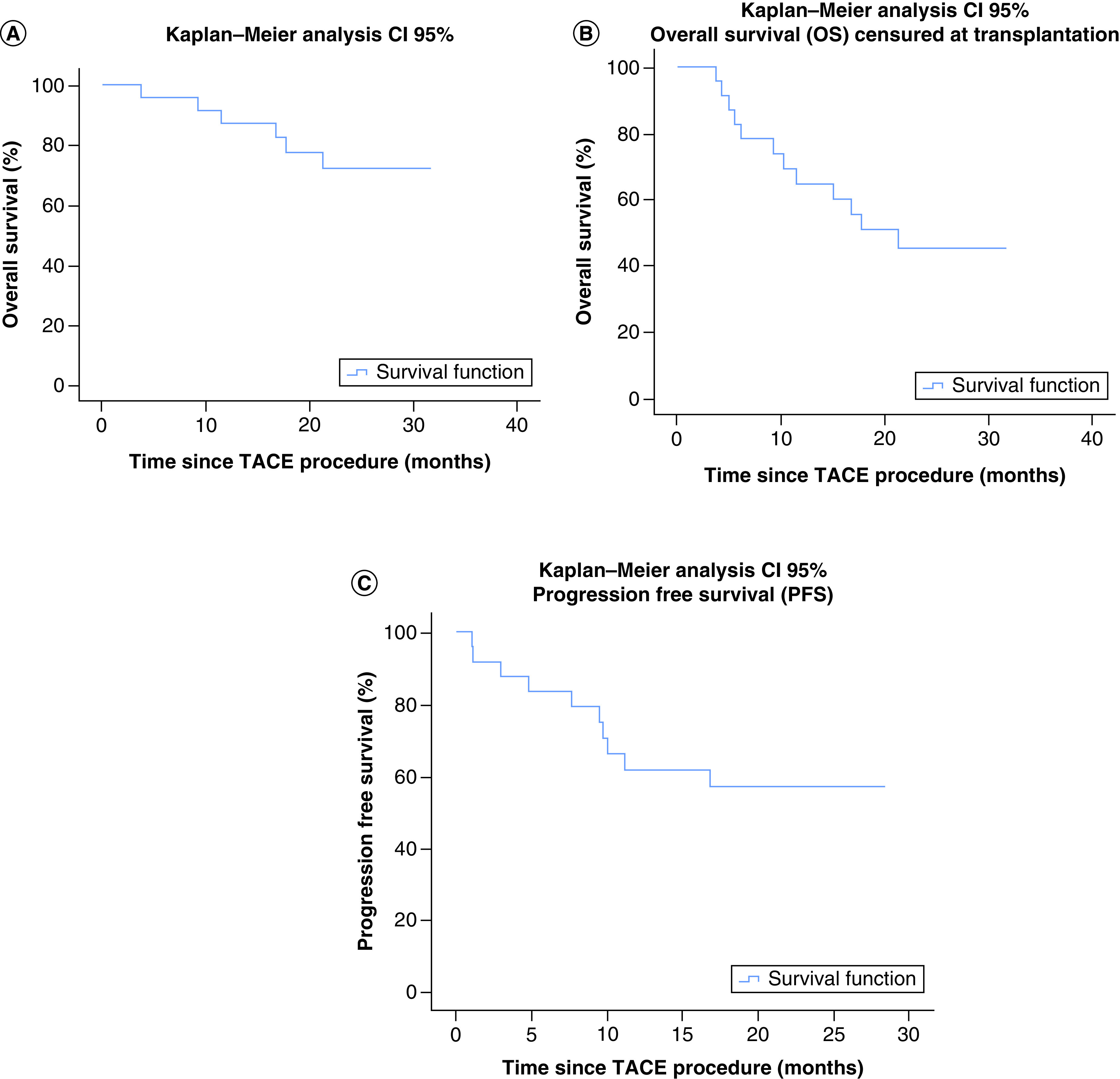 Balloon-occluded chemoembolization for hepatocellular carcinoma: a prospective study of safety, feasibility and outcomes.