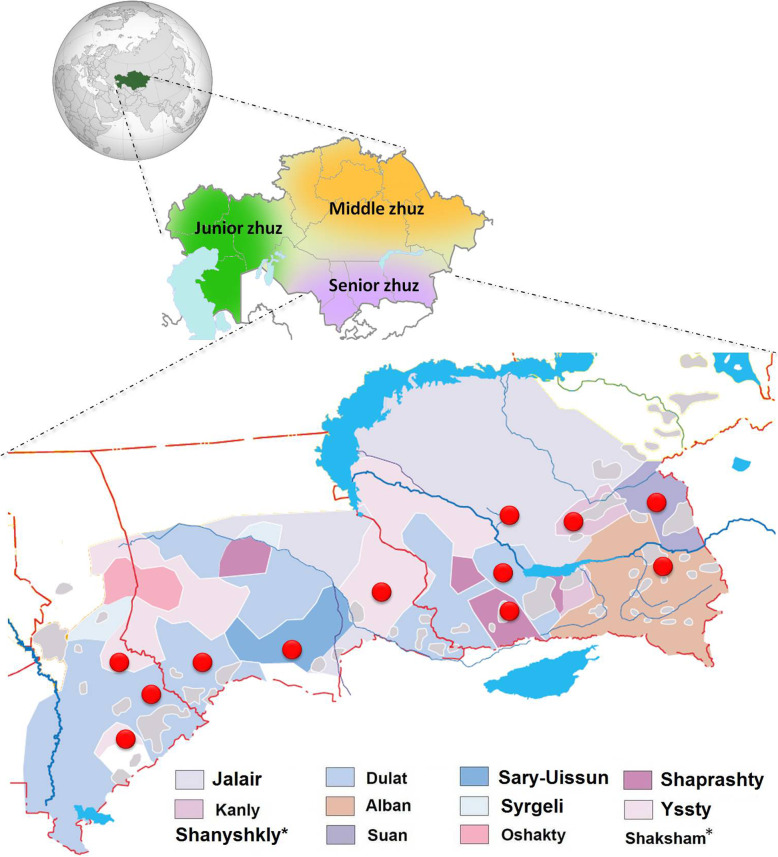 The medieval Mongolian roots of Y-chromosomal lineages from South Kazakhstan.