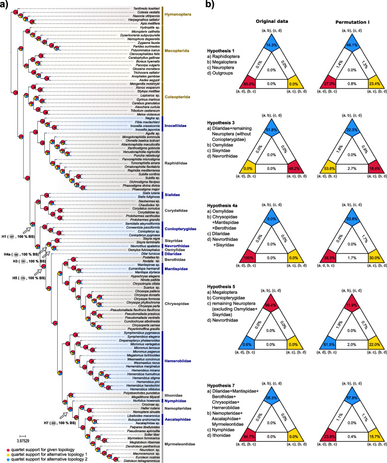 Correction to: An integrative phylogenomic approach to elucidate the evolutionary history and divergence times of Neuropterida (Insecta: Holometabola).