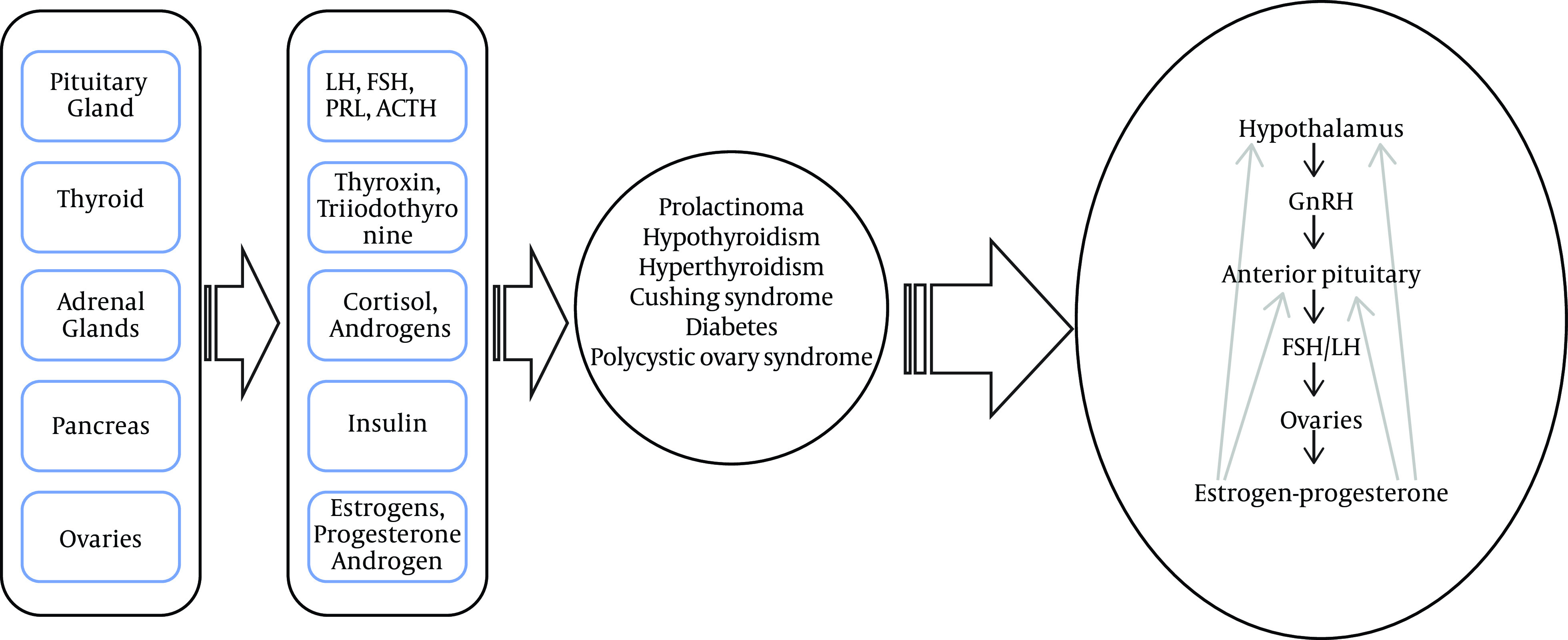 The Menstrual Disturbances in Endocrine Disorders: A Narrative Review.