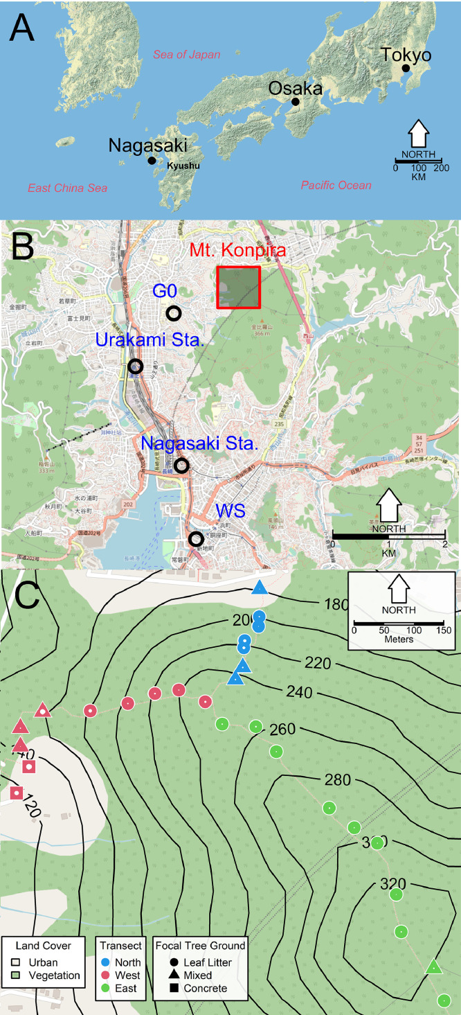 Aedes albopictus and Aedes flavopictus (Diptera: Culicidae) pre-imaginal abundance patterns are associated with different environmental factors along an altitudinal gradient