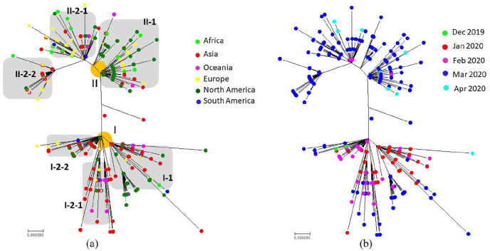 Analysis of Continuous Mutation and Evolution on Circulating SARS-CoV-2.