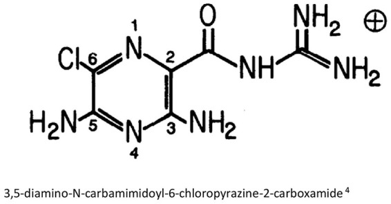 Amiloride: A review.