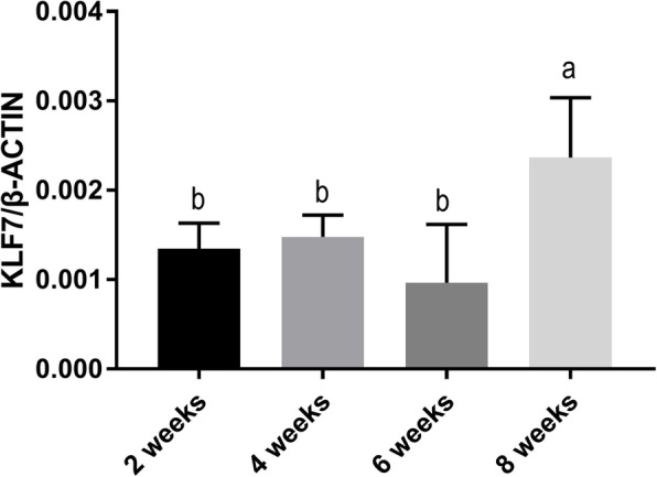 DNA methylation of CpG sites in the chicken KLF7 promoter and Exon 2 in association with mRNA expression in abdominal adipose tissue and blood metabolic indicators.