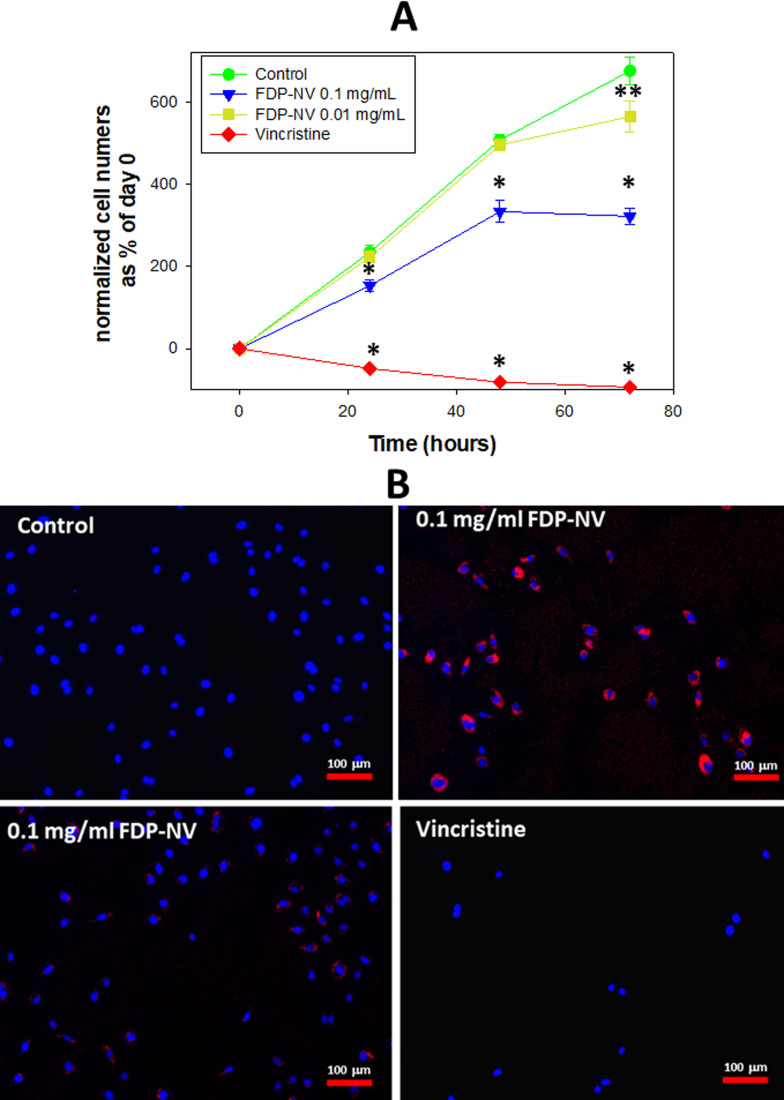 Effects of Fluorescent Diamond Particles FDP-NV-800nm on Essential Biochemical Functions of Primary Human Umbilical Vein Cells and Human Hepatic Cell Line, HepG-2 in vitro (Part VI): Acute Biocompatibility Studies.