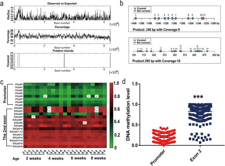 DNA methylation of CpG sites in the chicken KLF7 promoter and Exon 2 in association with mRNA expression in abdominal adipose tissue and blood metabolic indicators.