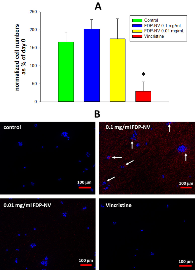 Effects of Fluorescent Diamond Particles FDP-NV-800nm on Essential Biochemical Functions of Primary Human Umbilical Vein Cells and Human Hepatic Cell Line, HepG-2 in vitro (Part VI): Acute Biocompatibility Studies.