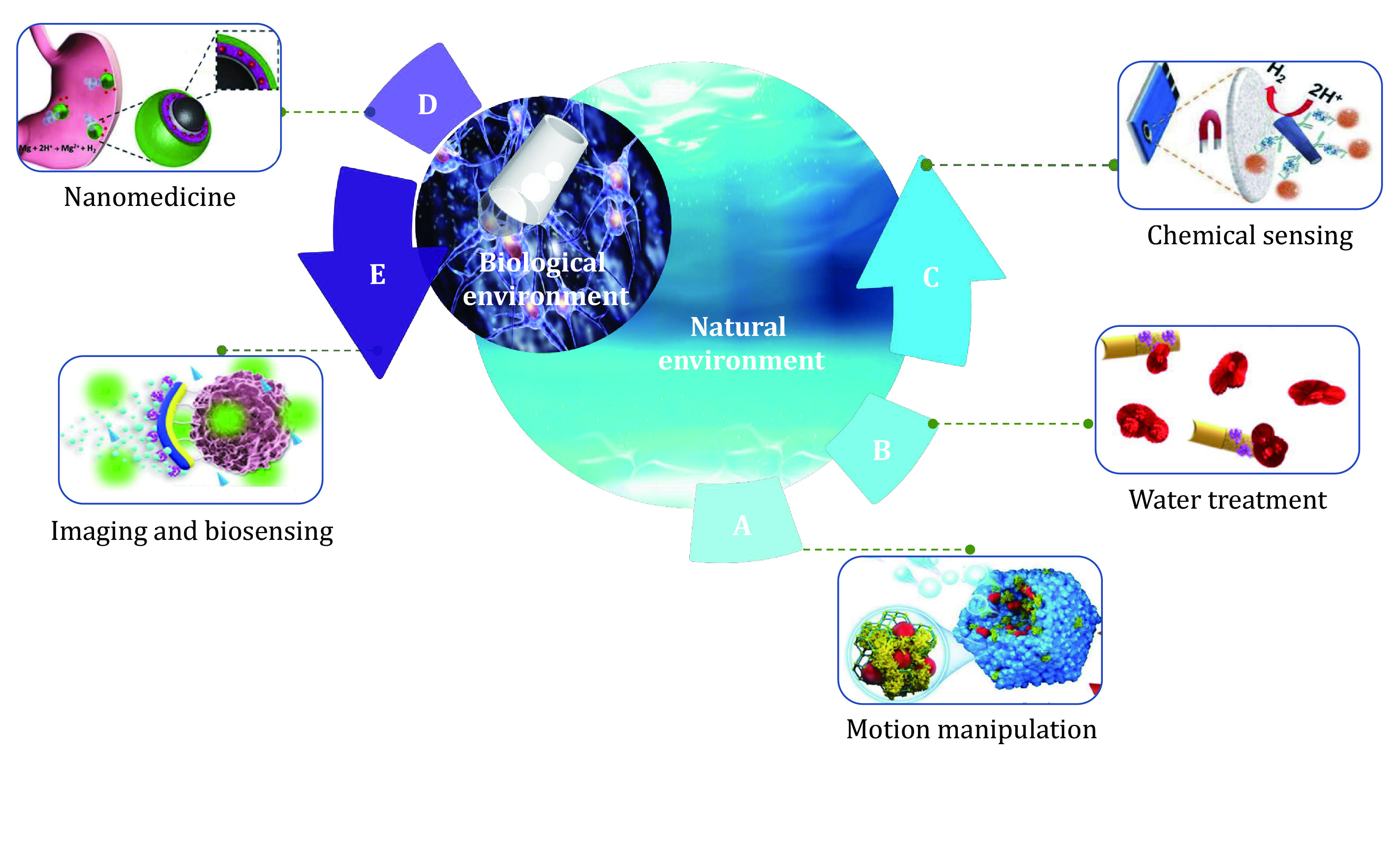 Biofriendly micro/nanomotors operating on biocatalysis: from natural to biological environments.