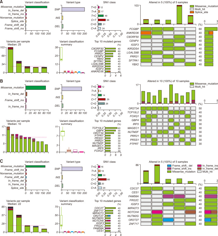 Genetic Features of Lung Adenocarcinoma with Ground- Glass Opacity: What Causes the Invasiveness of Lung Adenocarcinoma?