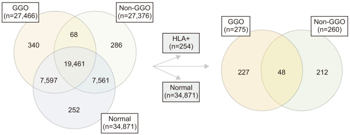 Genetic Features of Lung Adenocarcinoma with Ground- Glass Opacity: What Causes the Invasiveness of Lung Adenocarcinoma?