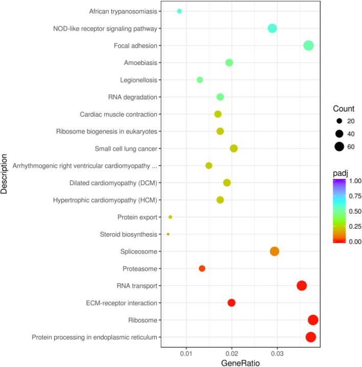 NOD-like receptors mediate inflammatory lung injury during plateau hypoxia exposure.