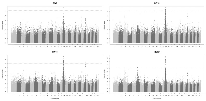 Genomic partitioning of growth traits using a high-density single nucleotide polymorphism array in Hanwoo (Korean cattle).