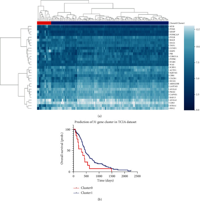 Machine Learning Based on a Multiparametric and Multiregional Radiomics Signature Predicts Radiotherapeutic Response in Patients with Glioblastoma.