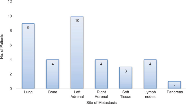 Adrenal Metastases as Sanctuary Sites in Advanced Renal Cancer.