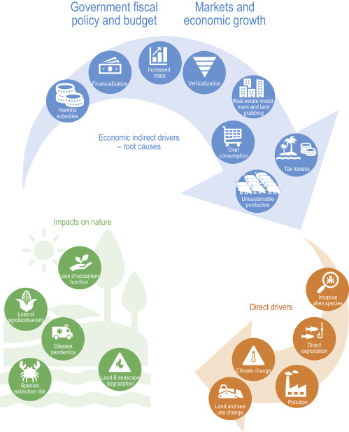 Ensuring a Post-COVID Economic Agenda Tackles Global Biodiversity Loss.