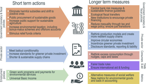 Ensuring a Post-COVID Economic Agenda Tackles Global Biodiversity Loss.