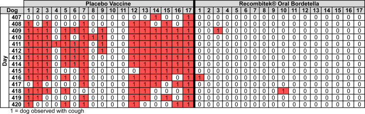 Thirteen-month duration of immunity of an oral canine vaccine against challenge with <i>Bordetella bronchiseptica</i>.