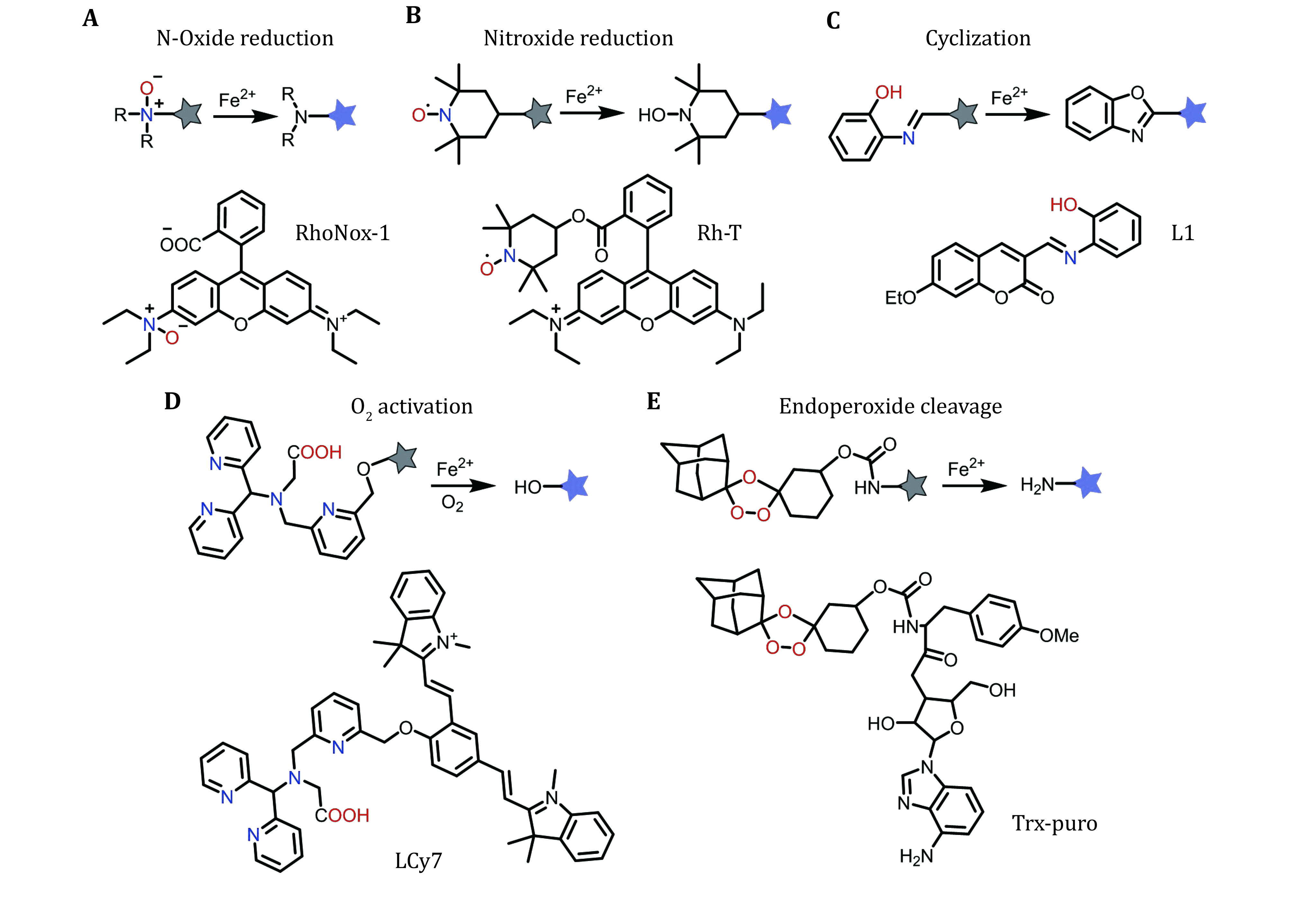 Recent endeavors on molecular imaging for mapping metals in biology.