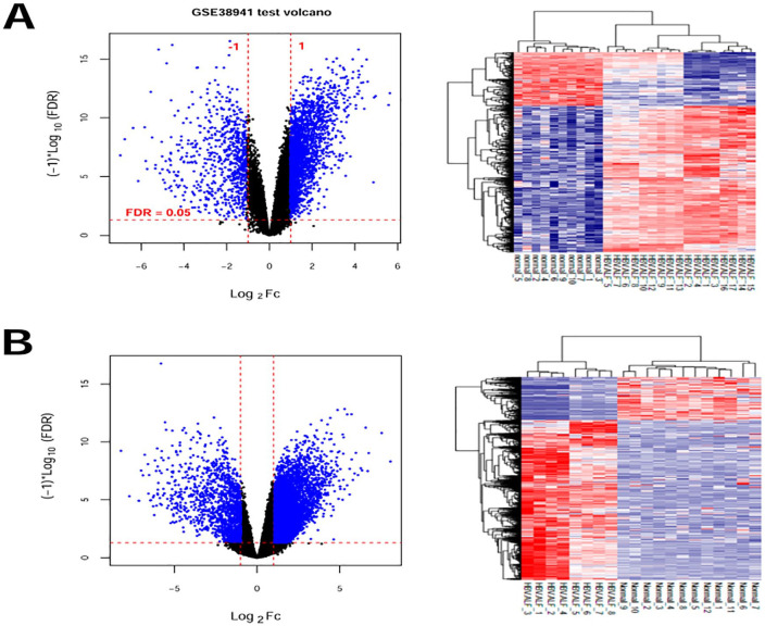 Identification of Hub Genes and Potential Molecular Mechanisms in Patients with HBV-Associated Acute Liver Failure.