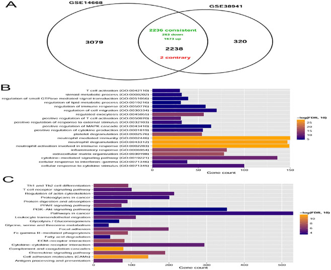 Identification of Hub Genes and Potential Molecular Mechanisms in Patients with HBV-Associated Acute Liver Failure.