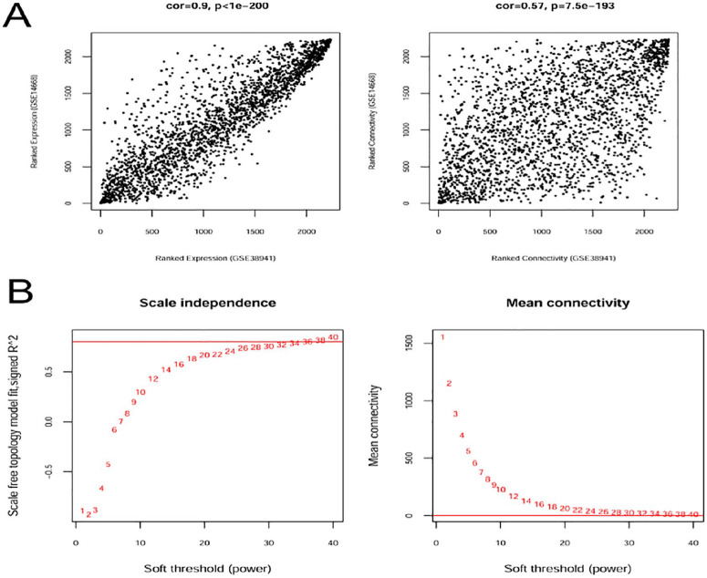 Identification of Hub Genes and Potential Molecular Mechanisms in Patients with HBV-Associated Acute Liver Failure.