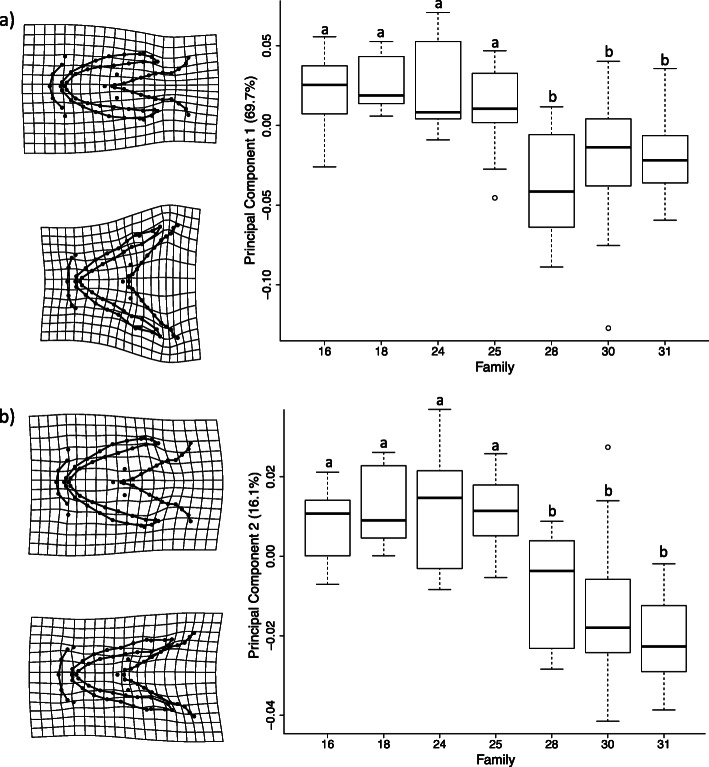 Differences among families in craniofacial shape at early life-stages of Arctic charr (Salvelinus alpinus).