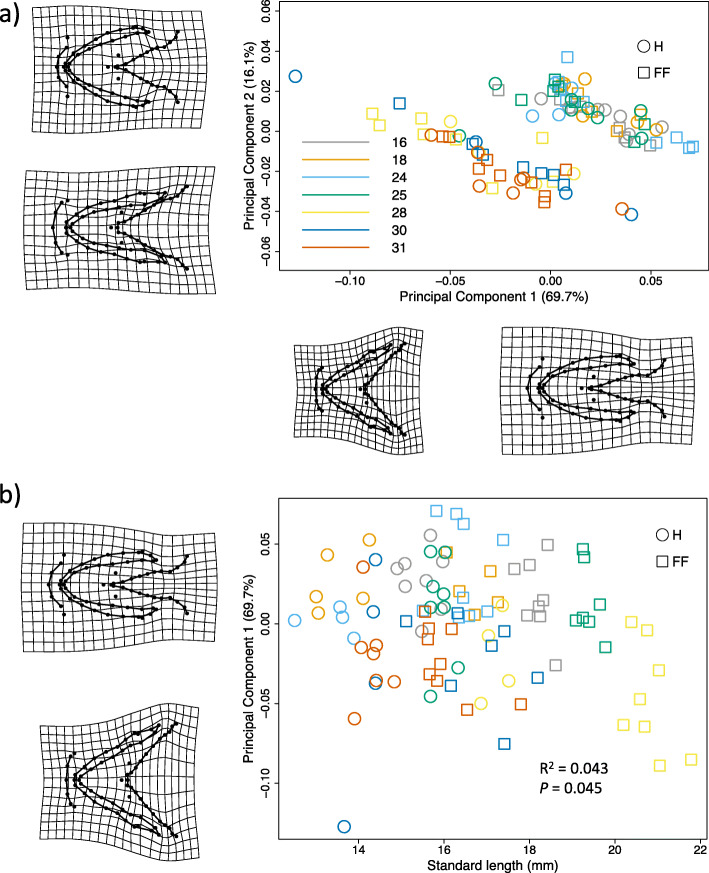 Differences among families in craniofacial shape at early life-stages of Arctic charr (Salvelinus alpinus).