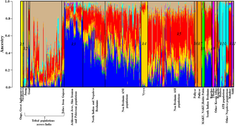 The story of the lost twins: decoding the genetic identities of the Kumhar and Kurcha populations from the Indian subcontinent.