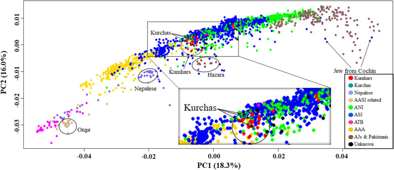 The story of the lost twins: decoding the genetic identities of the Kumhar and Kurcha populations from the Indian subcontinent.