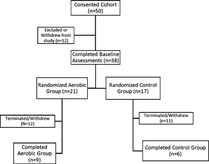 The Effect of Aerobic Exercise on Physical and Cognitive Outcomes in a Small Cohort of Outpatients with Schizophrenia.