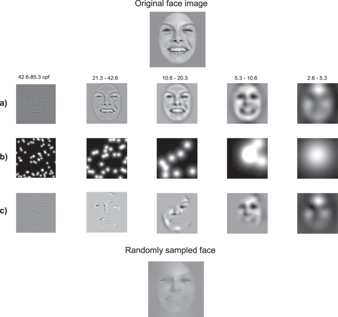 Abnormal visual representations associated with confusion of perceived facial expression in schizophrenia with social anxiety disorder.