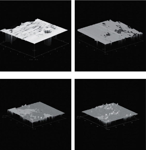 Activity of Phosvitin in Hydroxyapatite Acid-Damage Immersion and Antimicrobial Assays.