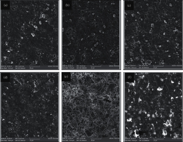 Activity of Phosvitin in Hydroxyapatite Acid-Damage Immersion and Antimicrobial Assays.