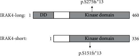 Interleukin-1 Receptor-Associated Kinase 4 Deficiency in a Greek Teenager.