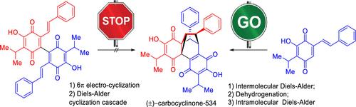 Biomimetic Total Synthesis of (±)-Carbocyclinone-534 Reveals Its Biosynthetic Pathway