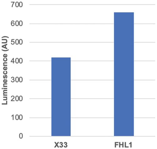 Methods for Expression of Recombinant Proteins Using a Pichia pastoris Cell-Free System