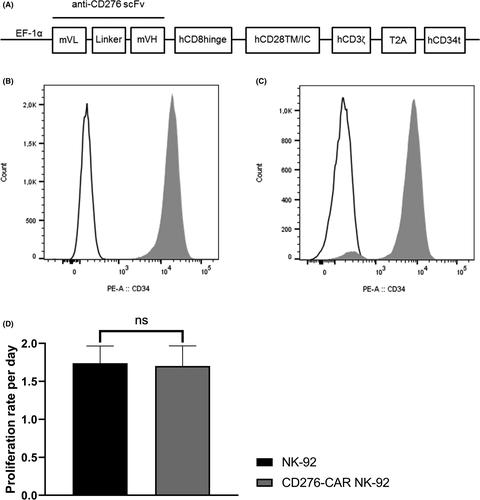 CD276 as a novel CAR NK-92 therapeutic target for neuroblastoma