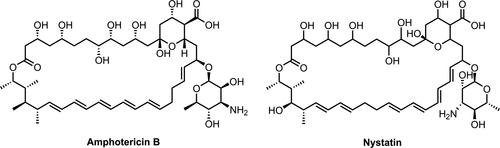 Antifungal polymers for medical applications